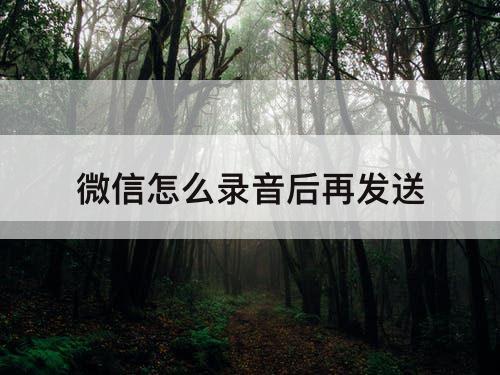 微信怎么录音后再发送