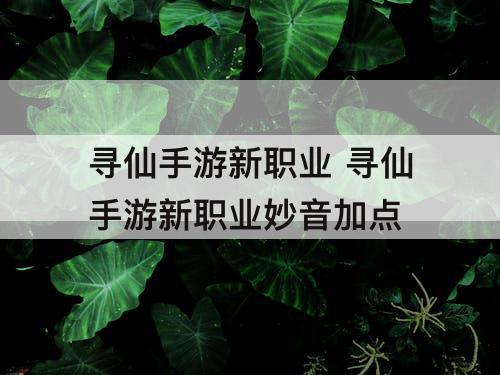 寻仙手游新职业 寻仙手游新职业妙音加点