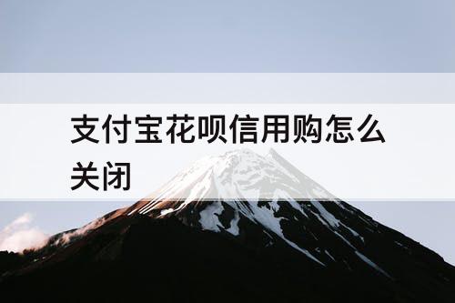 支付宝花呗信用购怎么关闭