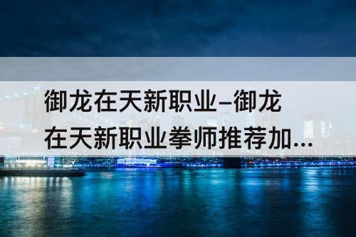 御龙在天新职业-御龙在天新职业拳师推荐加点