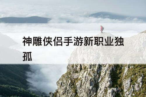 神雕侠侣手游新职业独孤