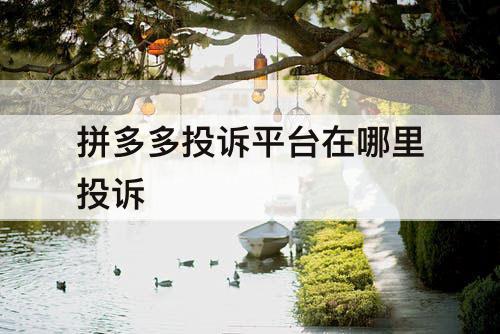 拼多多投诉平台在哪里投诉