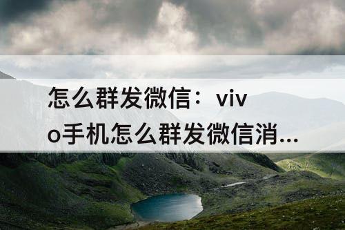 怎么群发微信：vivo手机怎么群发微信消息