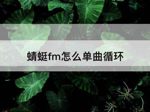 蜻蜓fm怎么单曲循环