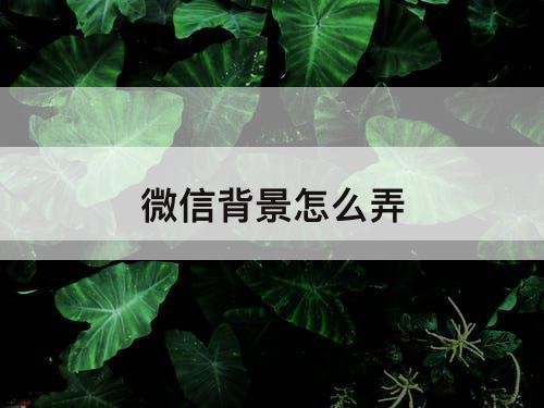 微信背景怎么弄