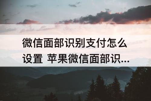 微信面部识别支付怎么设置 苹果微信面部识别支付怎么设置