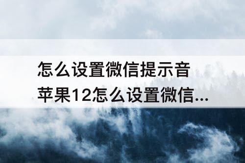 怎么设置微信提示音 苹果12怎么设置微信提示音