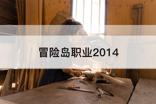 冒险岛职业2014