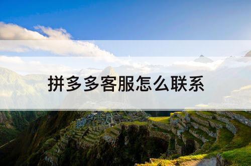 拼多多客服怎么联系