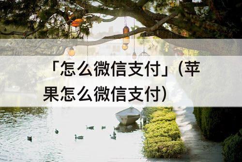「怎么微信支付」(苹果怎么微信支付)