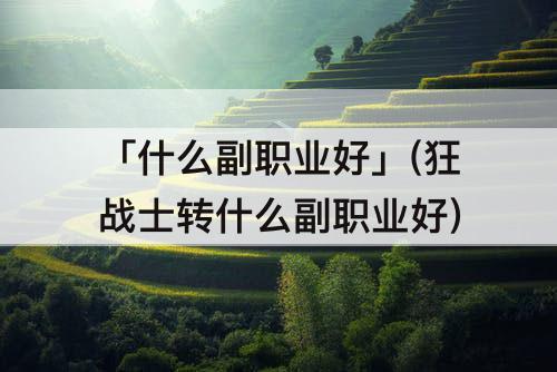 「什么副职业好」(狂战士转什么副职业好)
