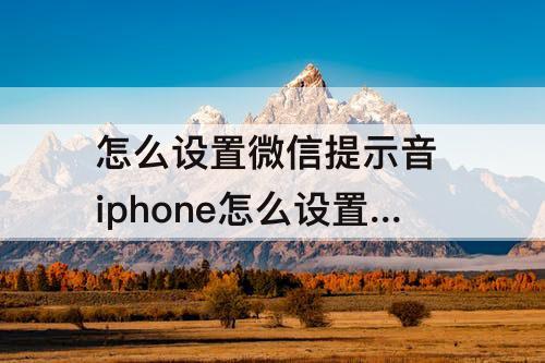 怎么设置微信提示音 iphone怎么设置微信提示音乐