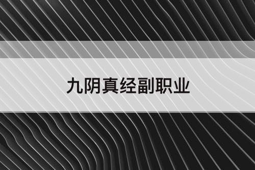 九阴真经副职业