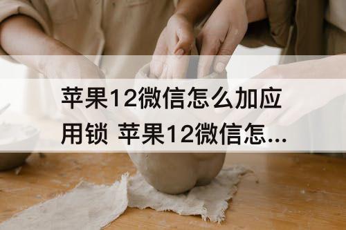 苹果12微信怎么加应用锁 苹果12微信怎么加应用锁可以下载什么软件加锁吗?