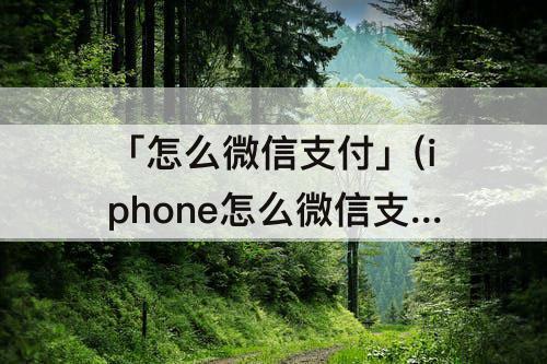 「怎么微信支付」(iphone怎么微信支付不了)