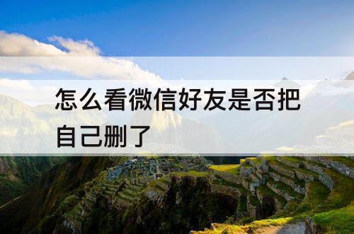 怎么看微信好友是否把自己删了
