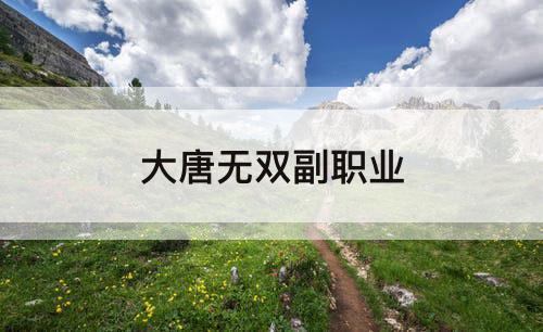 大唐无双副职业