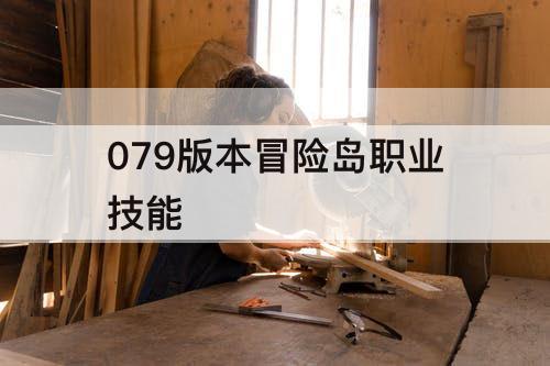 079版本冒险岛职业技能