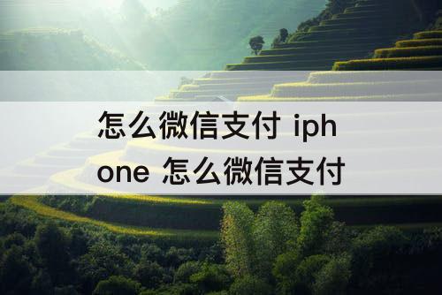 怎么微信支付 iphone 怎么微信支付