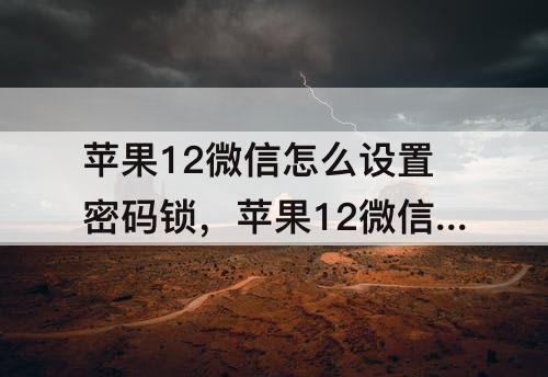 苹果12微信怎么设置密码锁，苹果12微信怎么设置密码锁微信聊天记录怎么去营业厅查