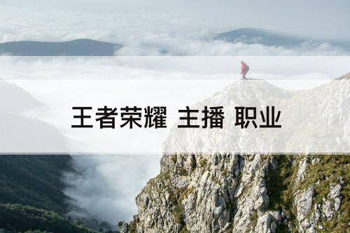 王者荣耀 主播 职业