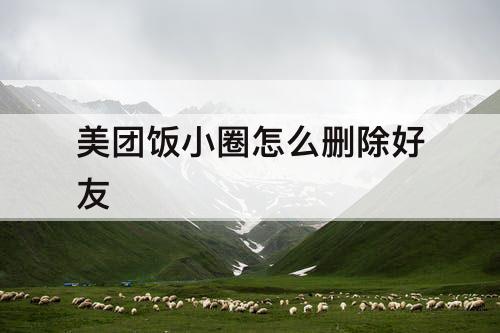 美团饭小圈怎么删除好友