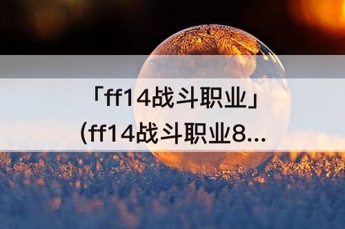 「ff14战斗职业」(ff14战斗职业80升90)