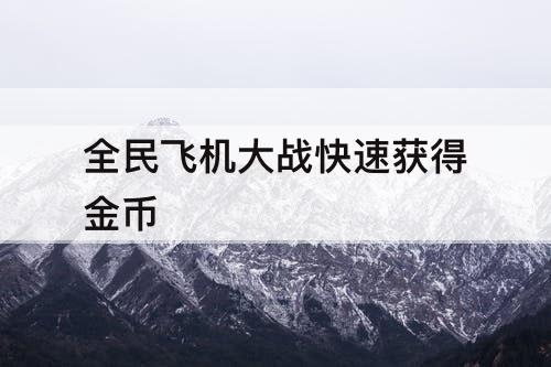 全民飞机大战快速获得金币