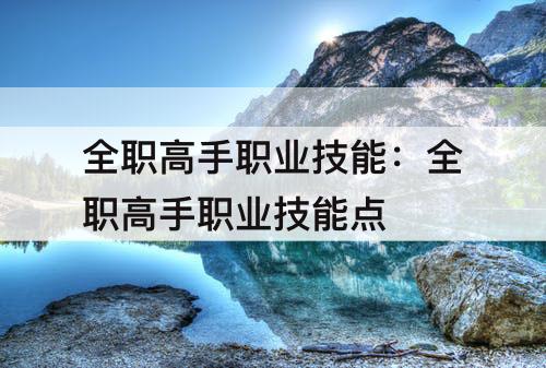 全职高手职业技能：全职高手职业技能点