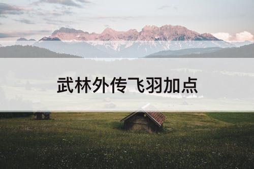 武林外传飞羽加点