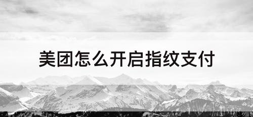 美团怎么开启指纹支付