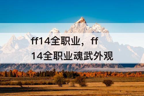 ff14全职业，ff14全职业魂武外观