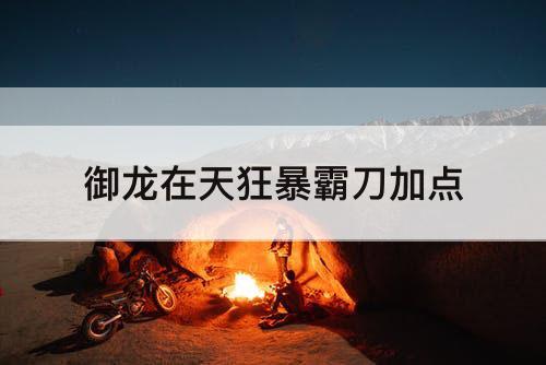 御龙在天狂暴霸刀加点