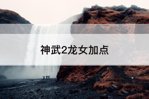 神武2龙女加点