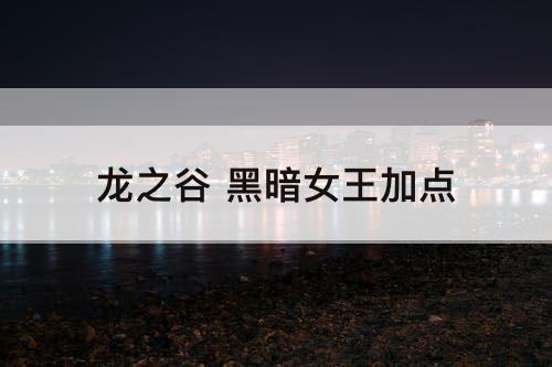 龙之谷 黑暗女王加点
