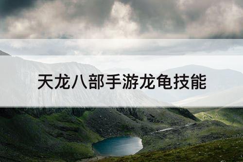 天龙八部手游龙龟技能