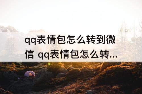 qq表情包怎么转到微信 qq表情包怎么转到微信怎么转不了