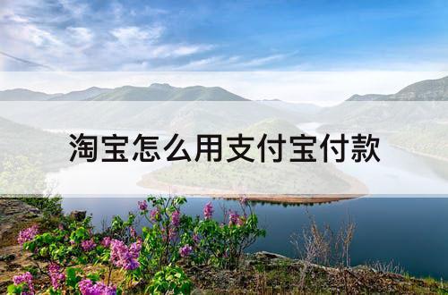 淘宝怎么用支付宝付款