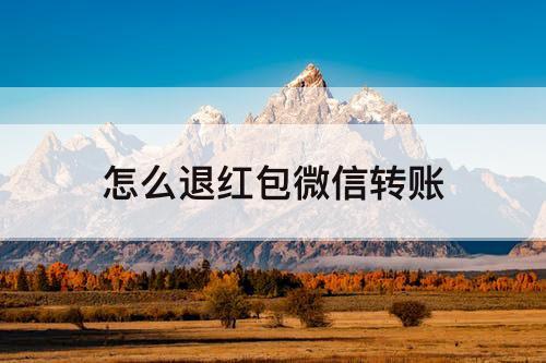 怎么退红包微信转账