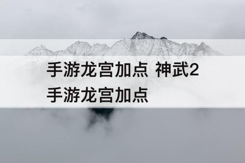手游龙宫加点 神武2手游龙宫加点