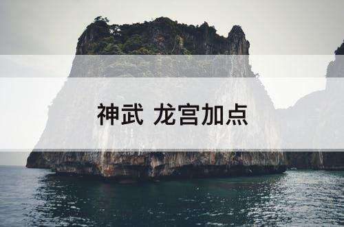 神武 龙宫加点