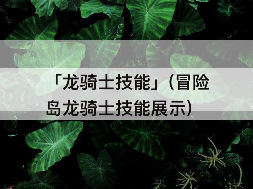 「龙骑士技能」(冒险岛龙骑士技能展示)