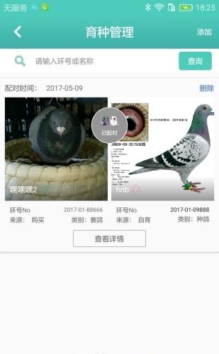 口袋鸽舍