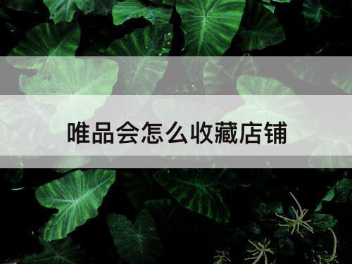 唯品会怎么收藏店铺