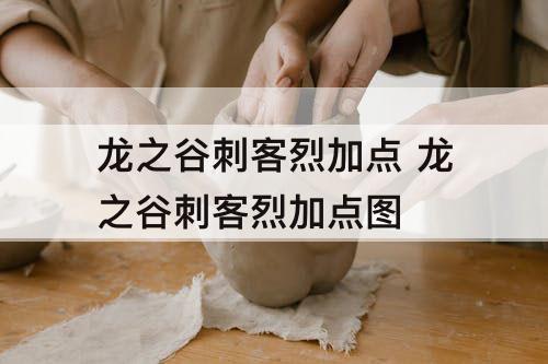 龙之谷刺客烈加点方法