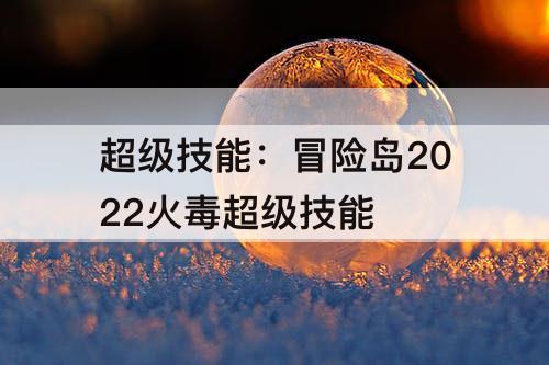 超级技能：冒险岛2022火毒超级技能