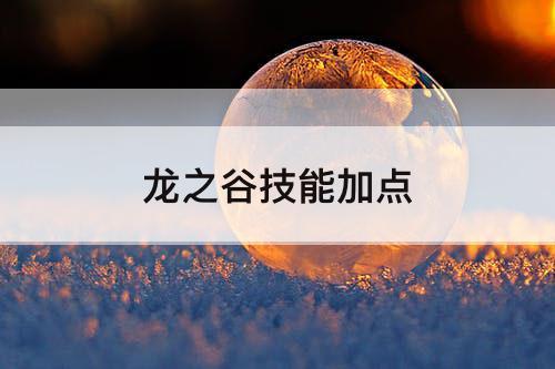 龙之谷技能加点
