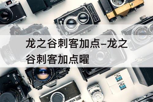 龙之谷刺客加点-龙之谷刺客加点曜