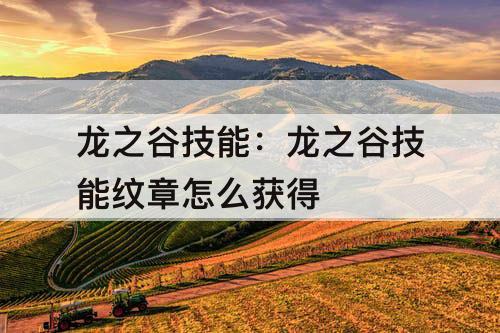 龙之谷技能：龙之谷技能纹章怎么获得