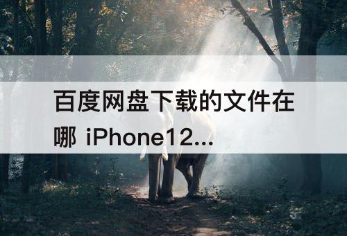 百度网盘下载的文件在哪 iPhone12百度网盘下载的文件在哪